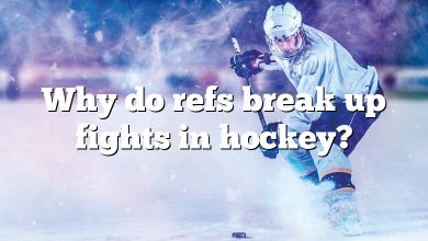Why do refs break up fights in hockey?