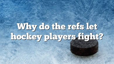 Why do the refs let hockey players fight?