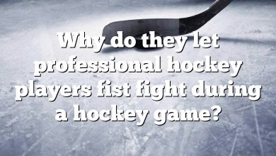 Why do they let professional hockey players fist fight during a hockey game?