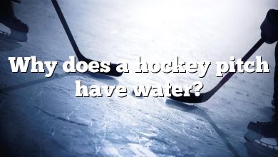 Why does a hockey pitch have water?