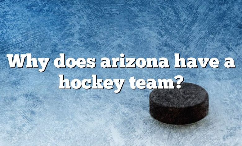 Why does arizona have a hockey team?
