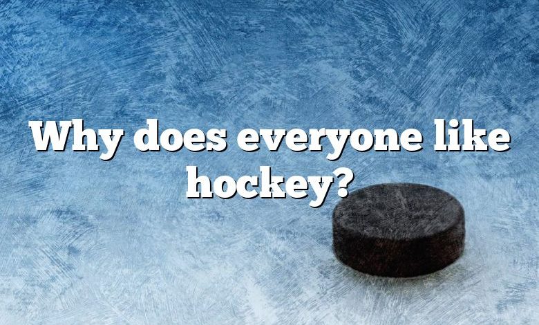 Why does everyone like hockey?