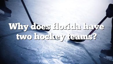 Why does florida have two hockey teams?