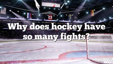 Why does hockey have so many fights?