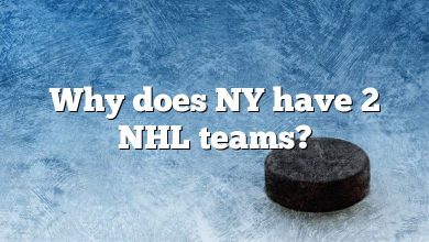 Why does NY have 2 NHL teams?