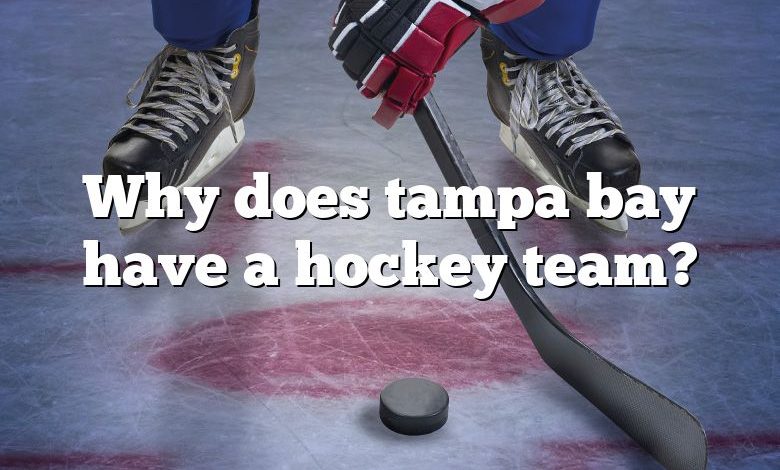 Why does tampa bay have a hockey team?