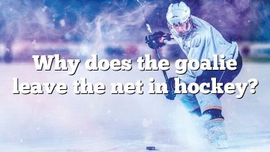 Why does the goalie leave the net in hockey?