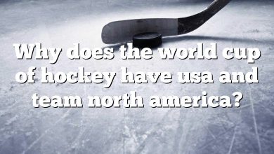 Why does the world cup of hockey have usa and team north america?