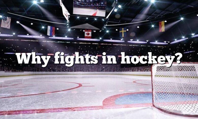 Why fights in hockey?
