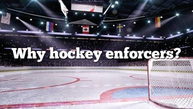 Why hockey enforcers?