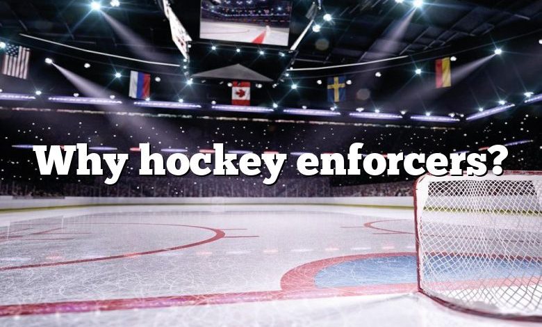 Why hockey enforcers?