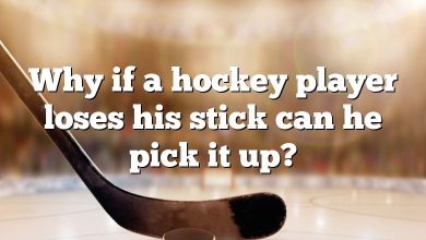 Why if a hockey player loses his stick can he pick it up?