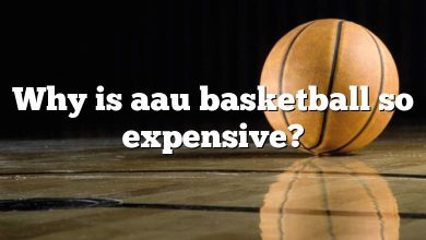 Why is aau basketball so expensive?