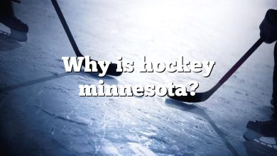 Why is hockey minnesota?
