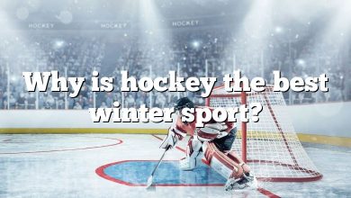 Why is hockey the best winter sport?