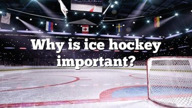 Why is ice hockey important?