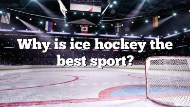 Why is ice hockey the best sport?