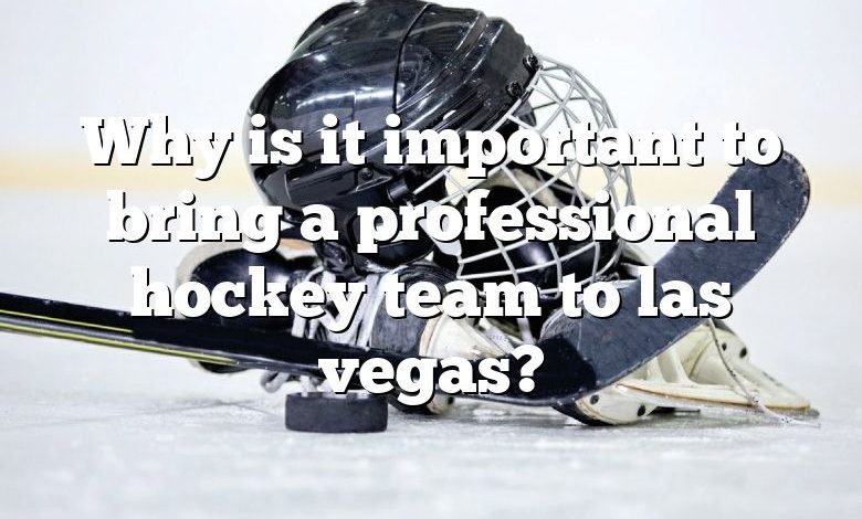 Why is it important to bring a professional hockey team to las vegas?
