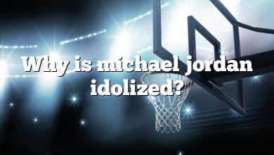Why is michael jordan idolized?