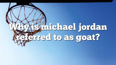 Why is michael jordan referred to as goat?