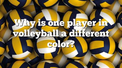 Why is one player in volleyball a different color?