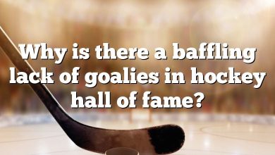 Why is there a baffling lack of goalies in hockey hall of fame?