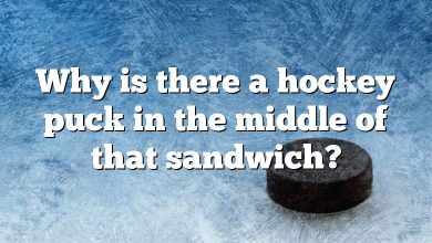 Why is there a hockey puck in the middle of that sandwich?