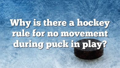 Why is there a hockey rule for no movement during puck in play?