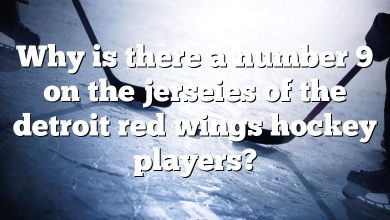 Why is there a number 9 on the jerseies of the detroit red wings hockey players?