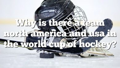 Why is there a team north america and usa in the world cup of hockey?