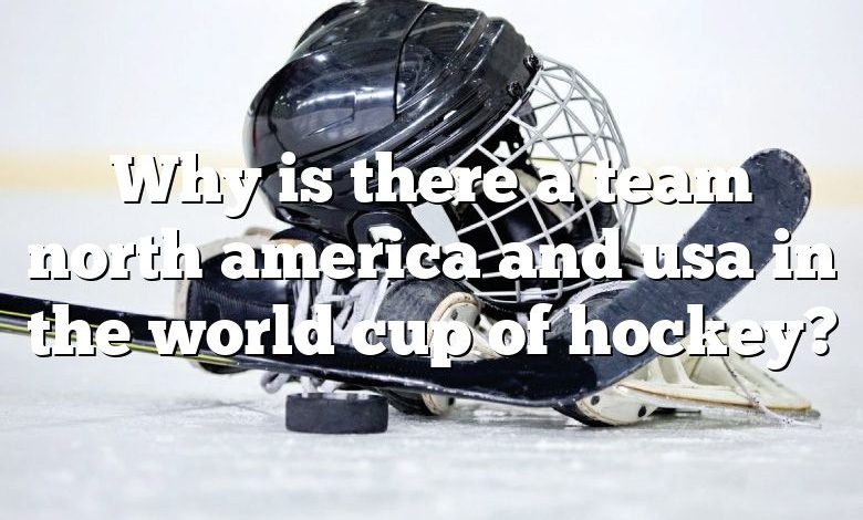 Why is there a team north america and usa in the world cup of hockey?