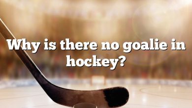 Why is there no goalie in hockey?