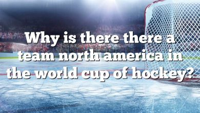 Why is there there a team north america in the world cup of hockey?