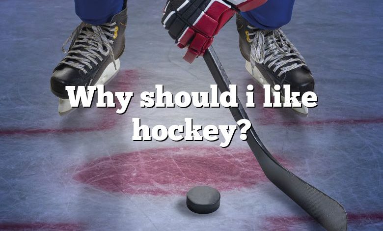 Why should i like hockey?
