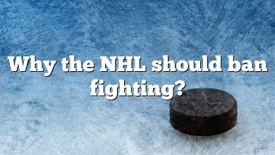 Why the NHL should ban fighting?