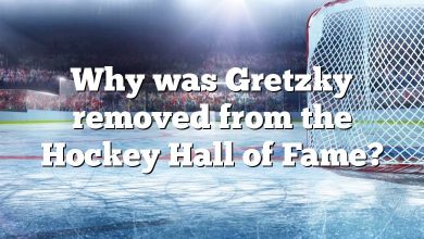 Why was Gretzky removed from the Hockey Hall of Fame?