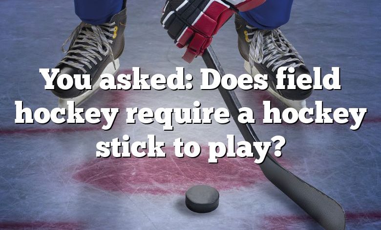 You asked: Does field hockey require a hockey stick to play?