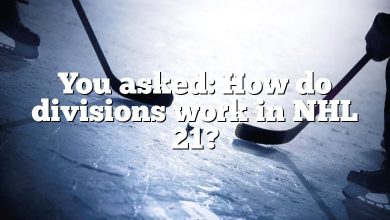 You asked: How do divisions work in NHL 21?