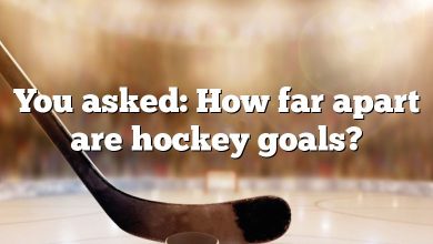 You asked: How far apart are hockey goals?