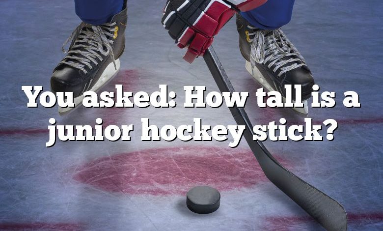 You asked: How tall is a junior hockey stick?