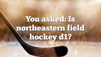 You asked: Is northeastern field hockey d1?