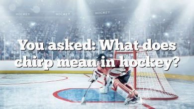 You asked: What does chirp mean in hockey?