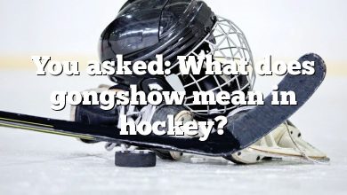 You asked: What does gongshow mean in hockey?