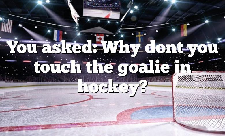 You asked: Why dont you touch the goalie in hockey?