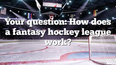Your question: How does a fantasy hockey league work?