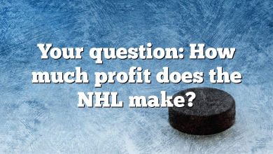 Your question: How much profit does the NHL make?