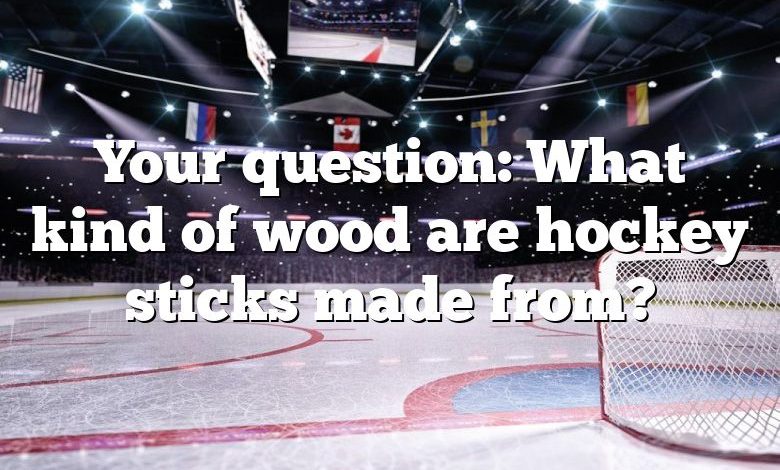 Your question: What kind of wood are hockey sticks made from?