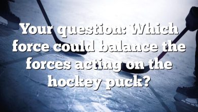 Your question: Which force could balance the forces acting on the hockey puck?